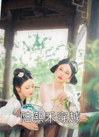 王妃凉凉写的小说陆熙禾穿越最新阅读