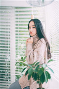 《八百杯奶茶的奇妙缘分》主角张启陆圆圆大结局小说全文阅读