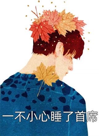 爆款小说一不小心睡了首席全文免费阅读