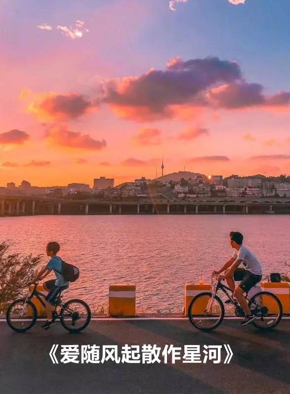 爱随风起散作星河