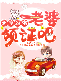 [完结]天降双宝：老婆，领证吧全章节阅读