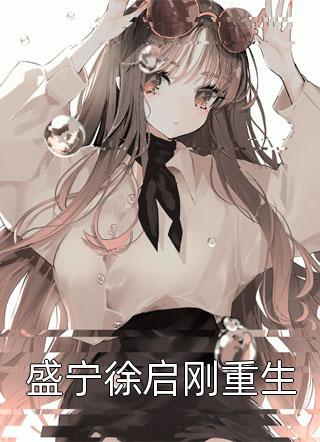 盛宁徐启刚重生江山一顾最新小说全文阅读