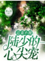 傅小瑶陆寒川全章节_追妻不晚陆少的心尖宠小说阅读