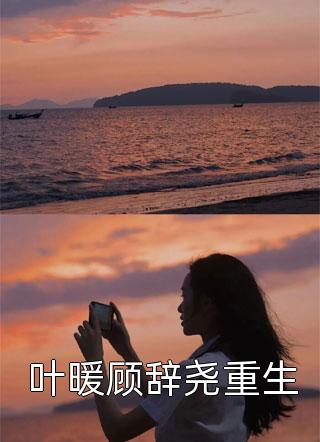 贱小银写的小说叶暖顾辞尧重生最新阅读