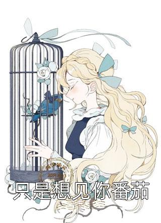 哲晗写的小说只是想见你番茄最新阅读