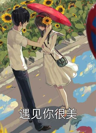 (全章节)遇见你很美-遇见你很美苏幸安在线阅读