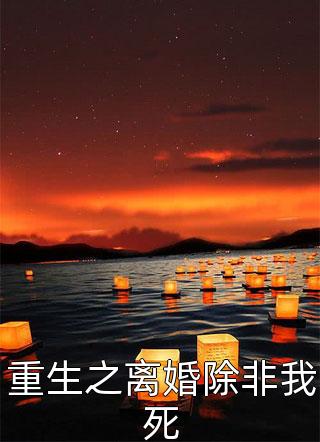 重生之离婚除非我死免费小说初九全文阅读