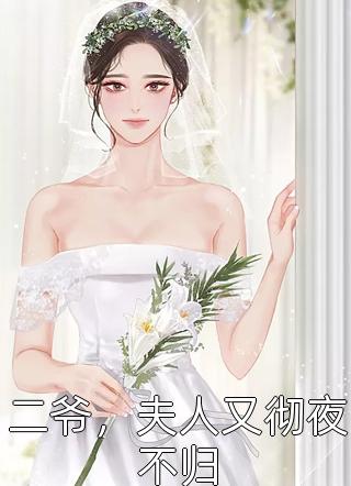 二爷，夫人又彻夜不归全本小说二爷，夫人又彻夜不归免费章节阅读