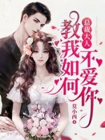 人气小说总裁大人教我如何不爱你顾子悦边锋全文免费试读