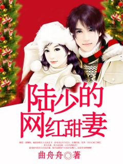 爆款小说陆少的网红甜妻全文免费阅读