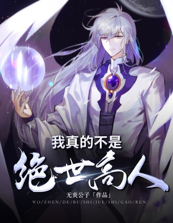 爆款小说无炎公子《我真的不是绝世高人》在线阅读