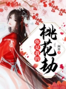 第2章小说你是我的桃花劫阅读