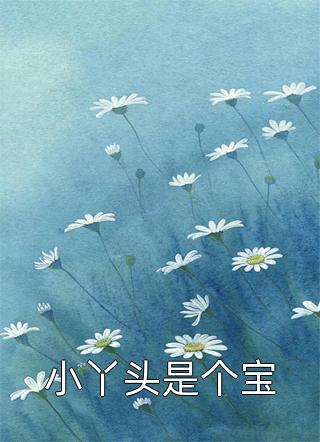 小丫头是个宝陌若离小说（完整版）阅读