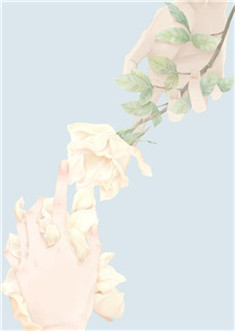 重生八零小甜妻「精彩小说」江月秦柯免费阅读