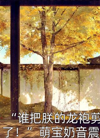 “谁把朕的龙袍剪了！”萌宝奶音震四方：我！皇上秒怂精彩小说(无心无爱)全章节阅读