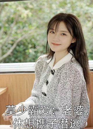 莫少霸爱：老婆，休想携子潜逃高歌酱小说（完整版）阅读