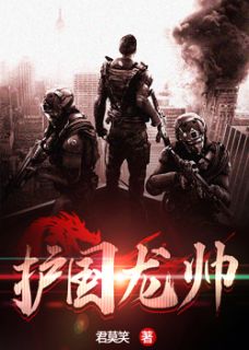 《护国龙帅》小说完整章节护国龙帅免费阅读