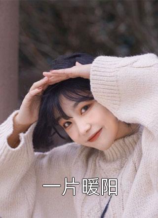 好看的一片暖阳小说_一片暖阳最新章节阅读