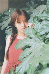 小说最后一眼全章节免费阅读