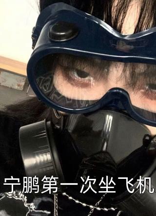 宁鹏第一次坐飞机精彩小说(月明星稀)全章节阅读