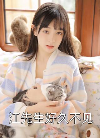 江先生好久不见繁华锦世小说（完整版）阅读