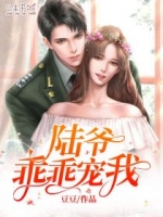 都市小说陆爷乖乖宠我章节目录阅读