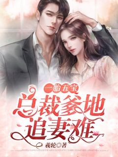 一胎五宝：总裁爹地追妻难全本小说一胎五宝：总裁爹地追妻难免费章节阅读
