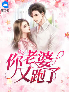 十分Q弹写的小说顾少，你老婆又跑了小说全文阅读