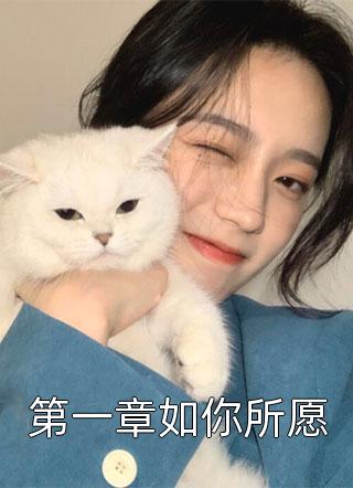 久昼写的小说第一章如你所愿最新阅读