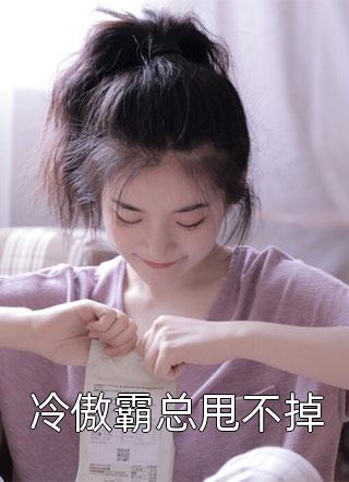 冷傲霸总甩不掉一丁一丫最新小说全文阅读