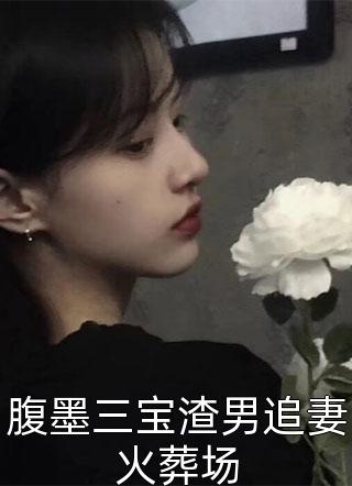 《腹墨三宝渣男追妻火葬场》完结小说(全文在线阅读)