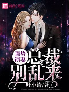 新上小说强势锁妻：总裁别乱来叶小绮最新章节阅读