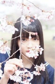 小说许灵腾羲陌全章节免费阅读