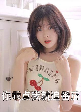 《你乖点我就追番茄》小说完整章节你乖点我就追番茄免费阅读