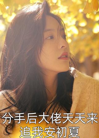 路子野写的小说分手后大佬天天来追我安初夏最新阅读