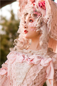 挽芍杨芍陶珉完整全文章节免费阅读