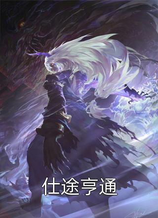 仕途亨通小说 仕途亨通免费阅读