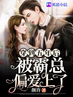 爆款小说颜许《穿到五年后被霸总偏爱上了》在线阅读