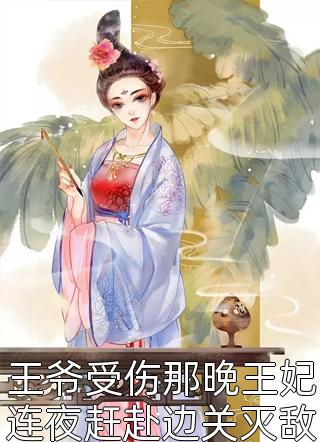 南窗写的小说王爷受伤那晚王妃连夜赶赴边关灭敌国最新阅读