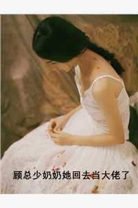 顾总少奶奶她回去当大佬了