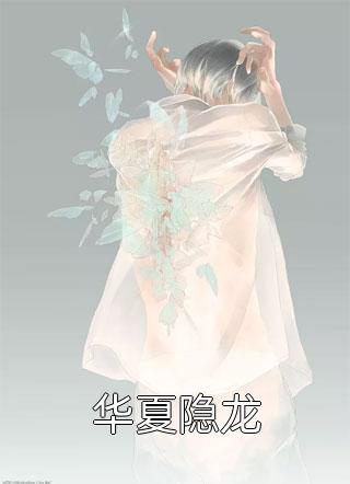 难写的小说华夏隐龙小说全文阅读"