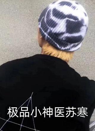 [完结]极品小神医苏寒全章节阅读