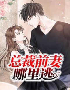 新上《总裁前妻哪里逃》茶奈小说免费阅读