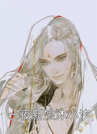一夜新娘沐小汐负相思全本小说最新阅读