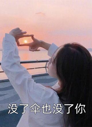 公子凉夜写的小说没了伞也没了你小说全文阅读