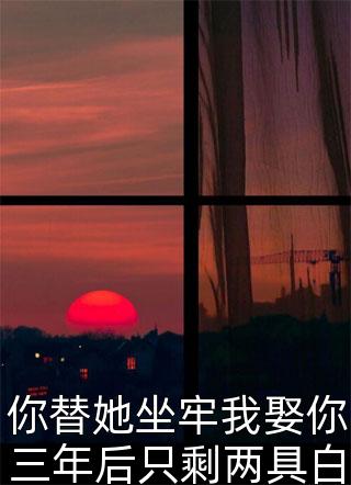 你替她坐牢我娶你三年后只剩两具白骨晚街听风小说（完整版）阅读