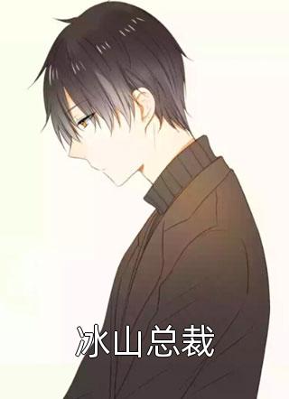 冰山总裁乘风而上大结局小说全章节阅读