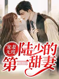 宠妻无度：陆少的第一甜妻全本小说（宠妻无度：陆少的第一甜妻）全文阅读