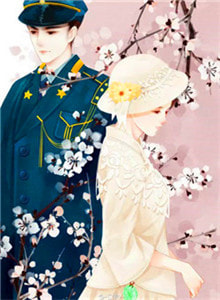 新上《民国少帅》万贵妃小说免费阅读