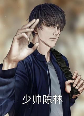 爆款小说少帅陈林全文免费阅读